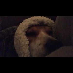 Meet your Posher, Adrian